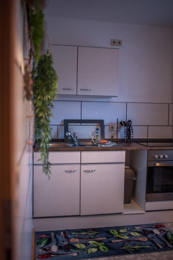 Ferienwohnung Gipfelblick Willingen  Esterno foto
